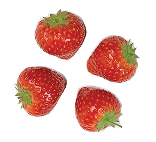Belgische aardbeien: top terroirproduct