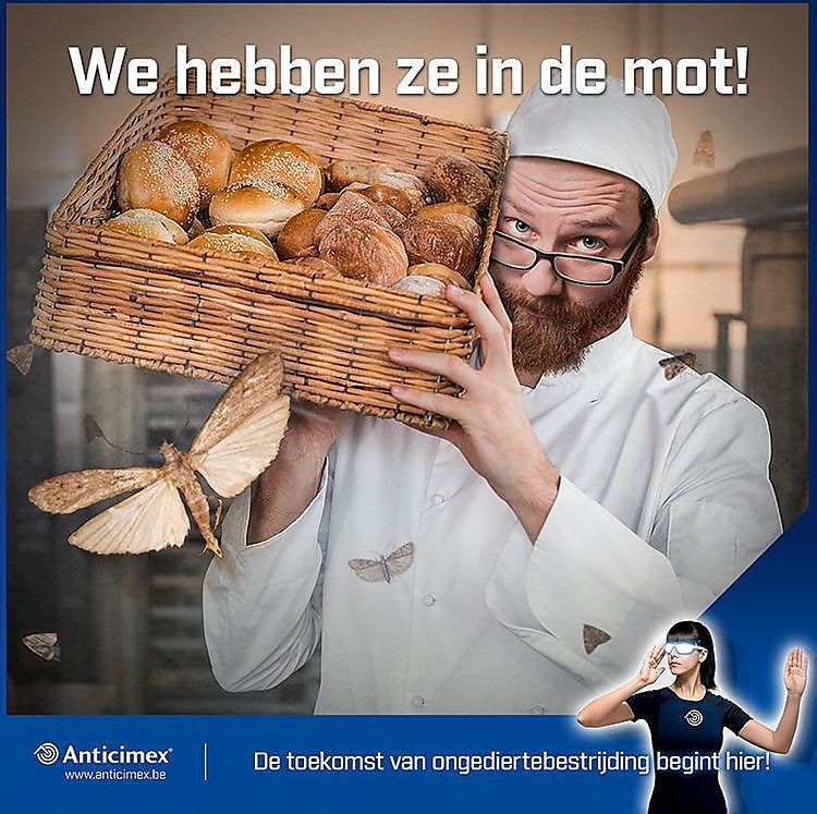 Voorkom ongedierte