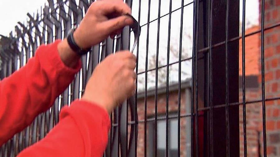 COMMENT POSER DES PANNEAUX DE TREIILIS