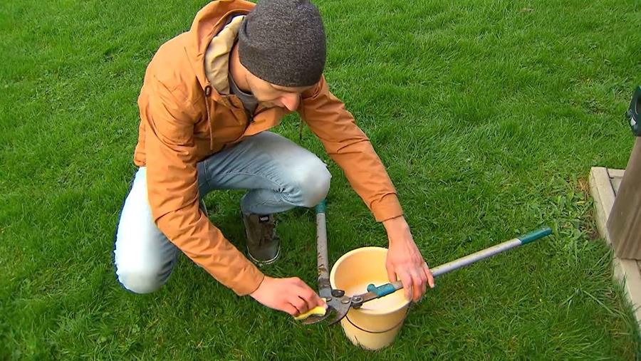 DU MATÉRIEL DE JARDINAGE AU TOP