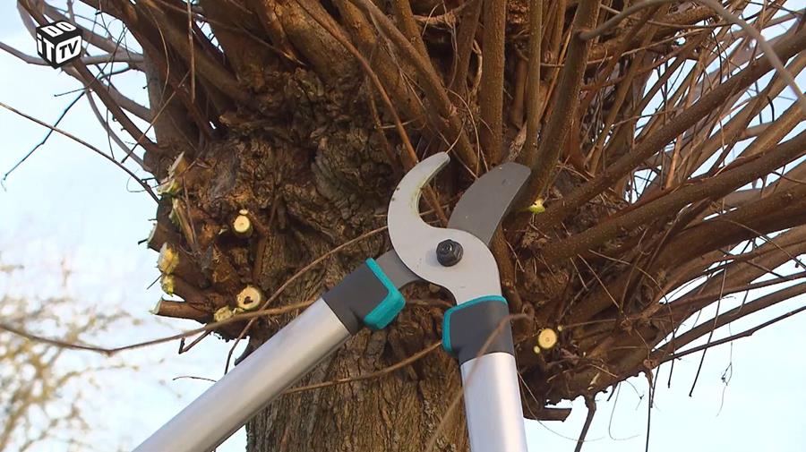 DE QUOI AVEZ-VOUS BESOIN POUR LA TAILLE?