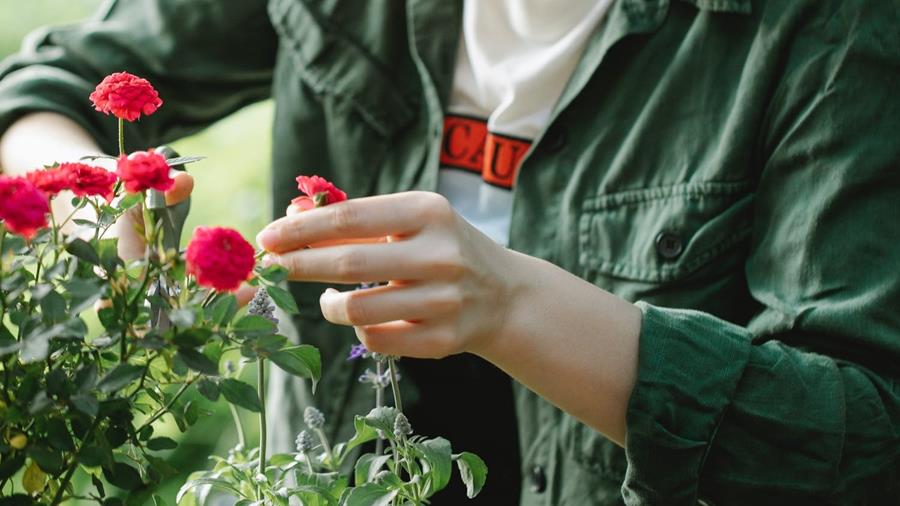 WAT HEB JE NODIG OM TE SNOEIEN?