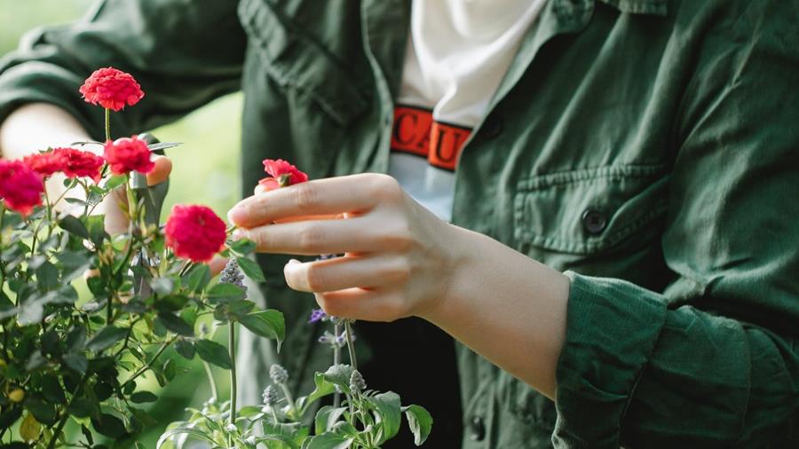 DE QUOI AVEZ-VOUS BESOIN POUR LA TAILLE?