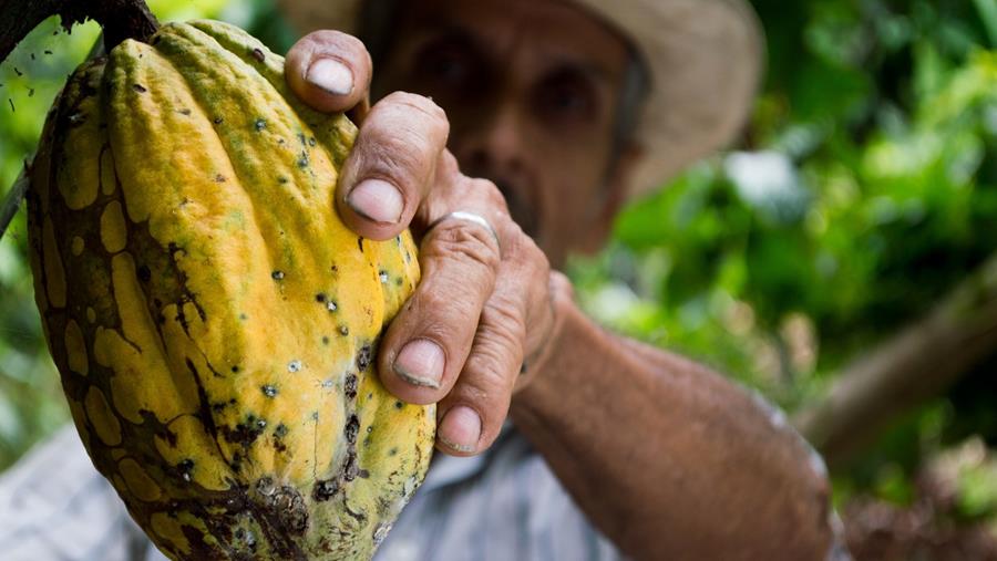 56,3% de nos répondants font du chocolat bean-to-bar