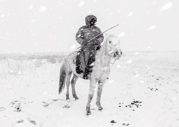 Ode aan paard en ruiter