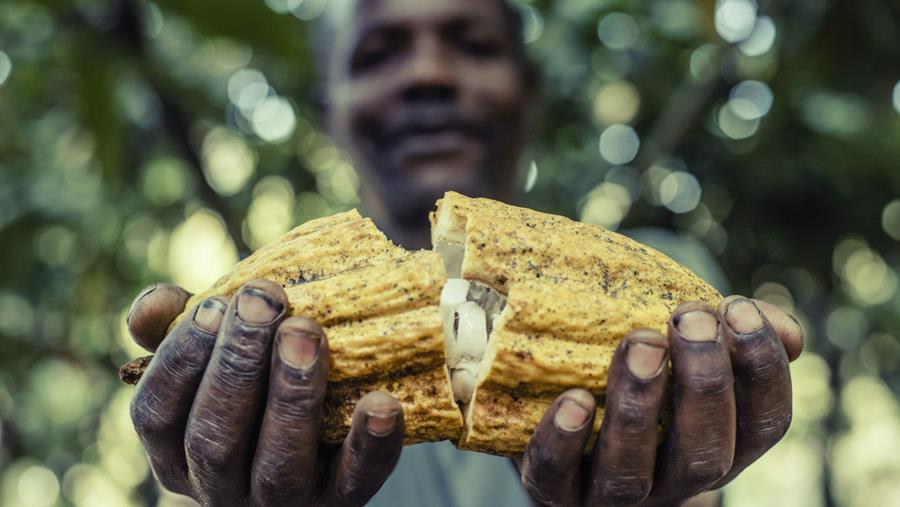 Callebaut: continuez à faire la différence, dans le futur aussi