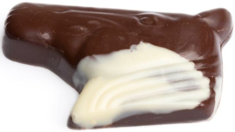 PRALINES VAN CHOCOLATIER VANDENBULCKE ZIJN WEST-VLAAMS STREEKPRODUCT
