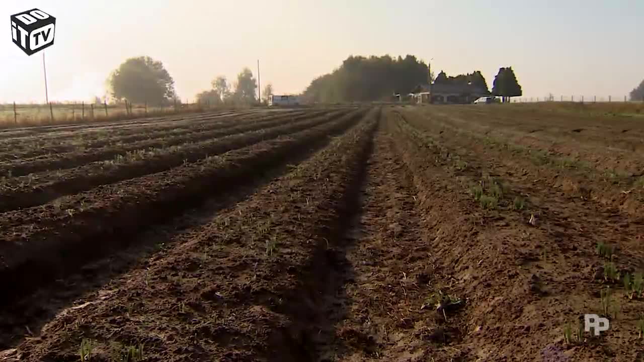 Op bezoek bij een saffraankweker
