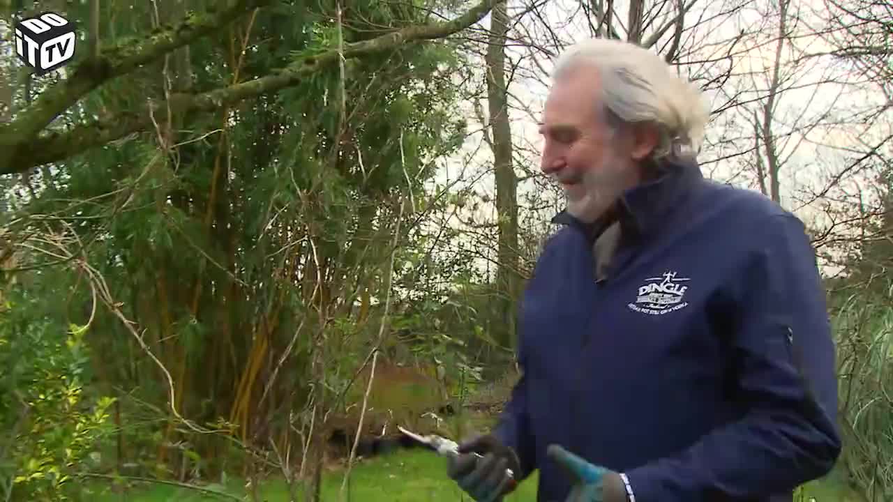 HOE KLEINFRUIT SNOEIEN