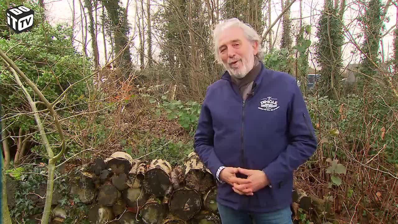 CULTIVER SOI-MEME DES CHAMPIGNONS