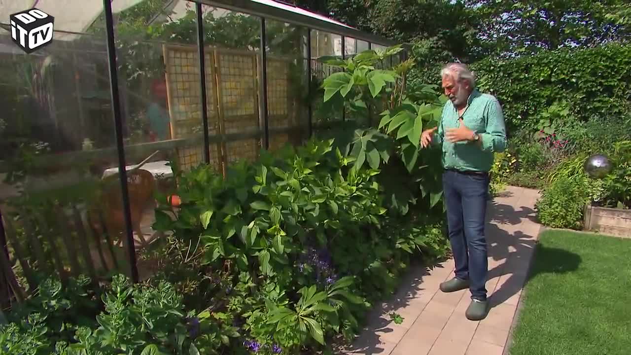 TOUT SUR LES BORDURES VEGETALES