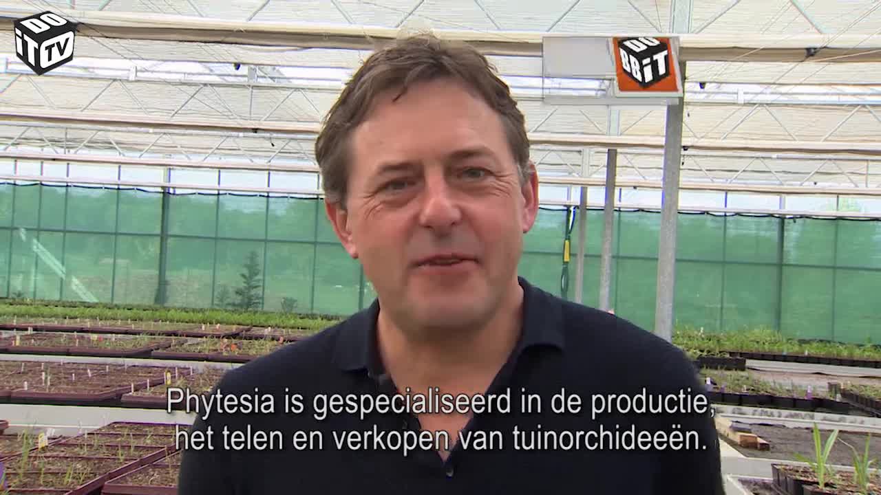 ORCHIDEEEN EN IRISSEN