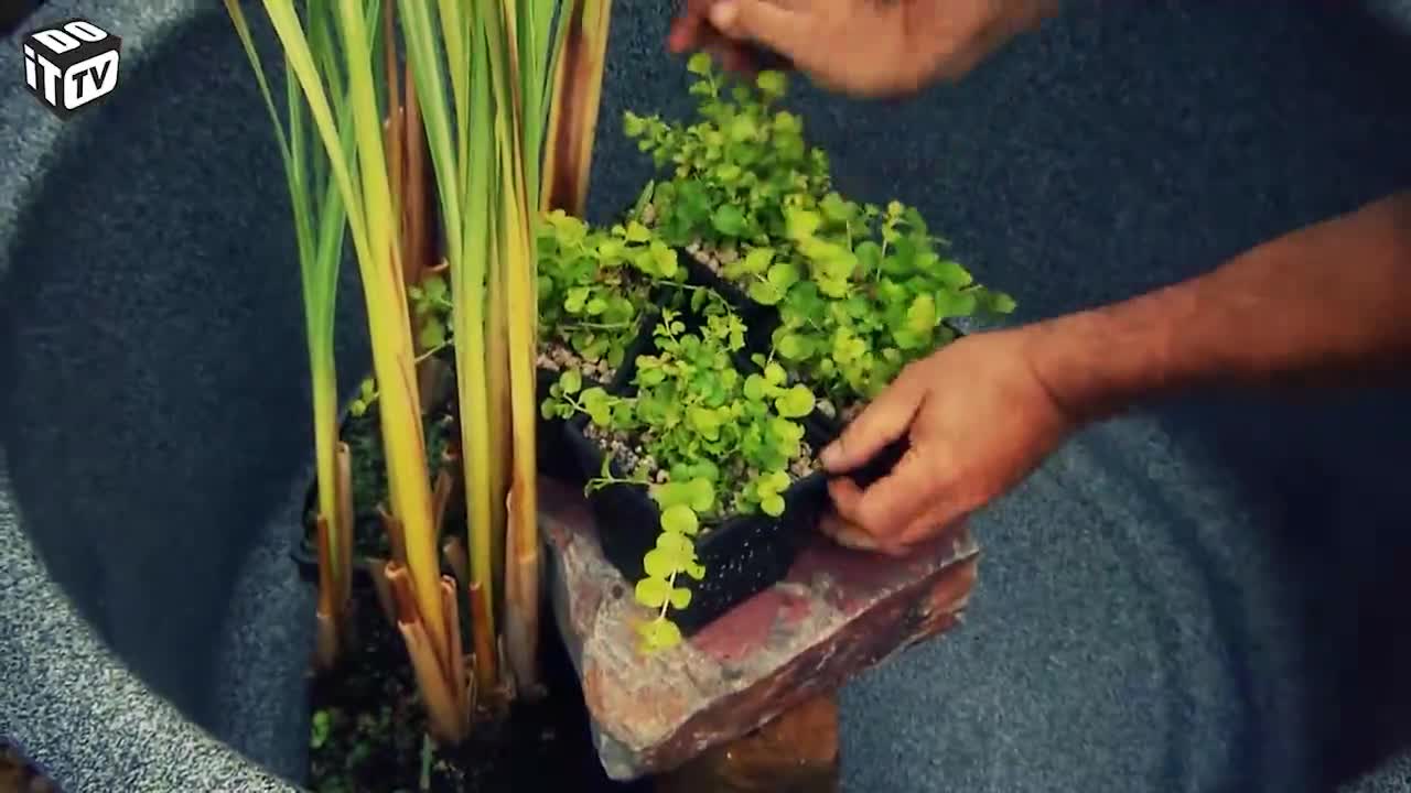 COMMENT REALISER UN MINI-ETANG