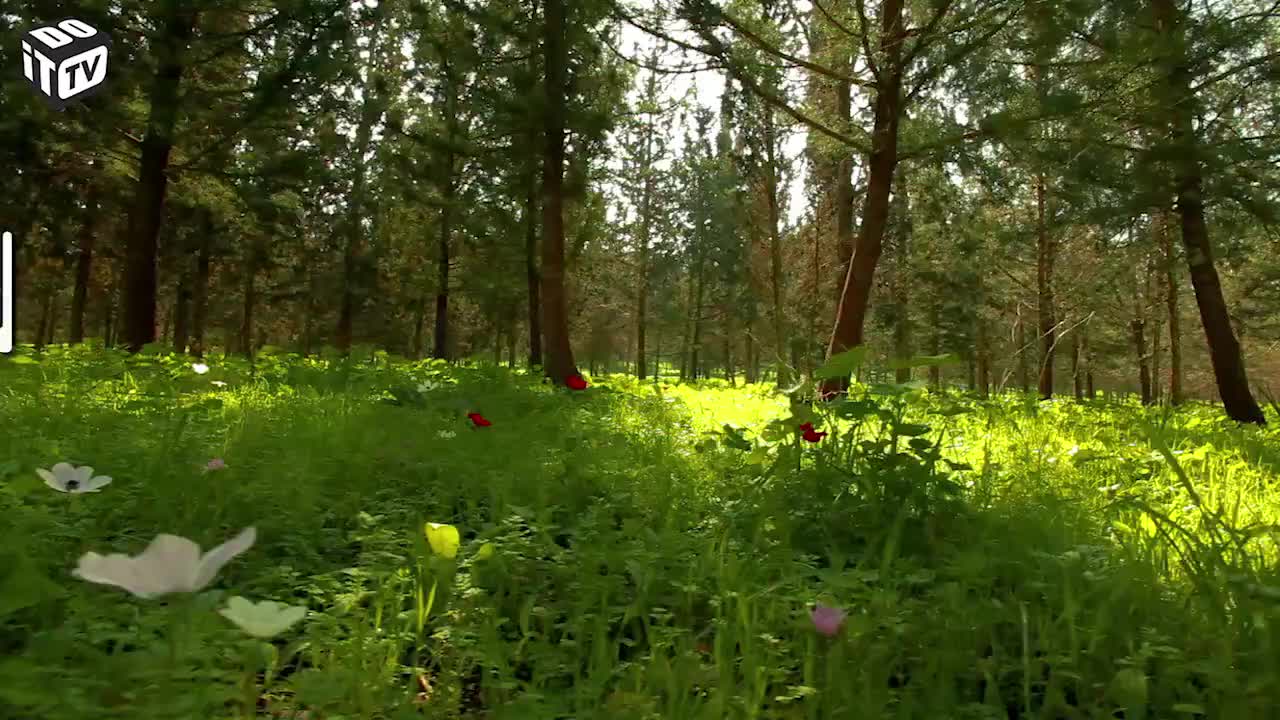 CONSEIL DE JARDINAGE: AIDER LES ANIMAUX