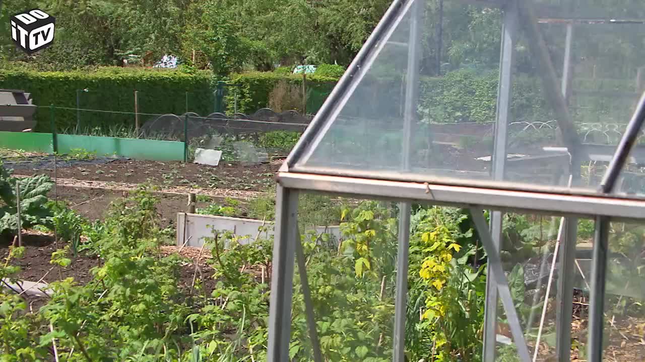 COMMENT CULTIVER DES PATATES DOUCES