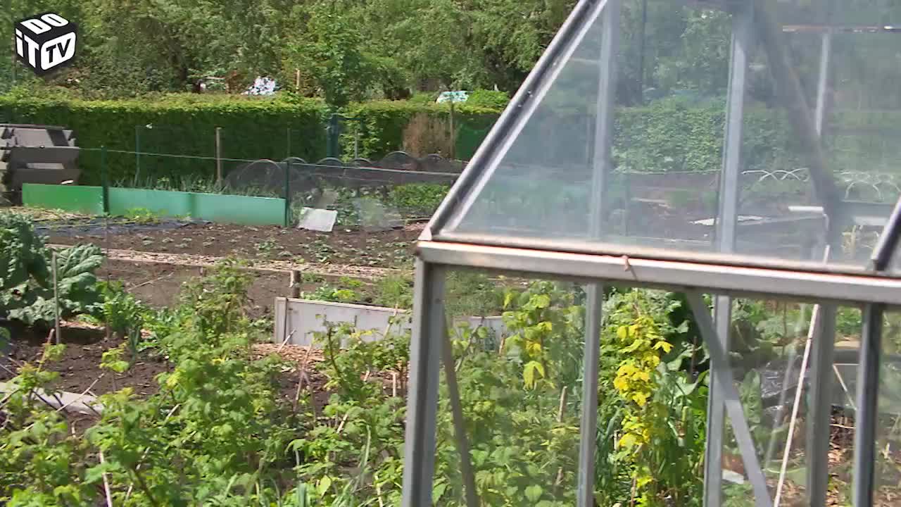 HOE ZOETE AARDAPPELEN TELEN