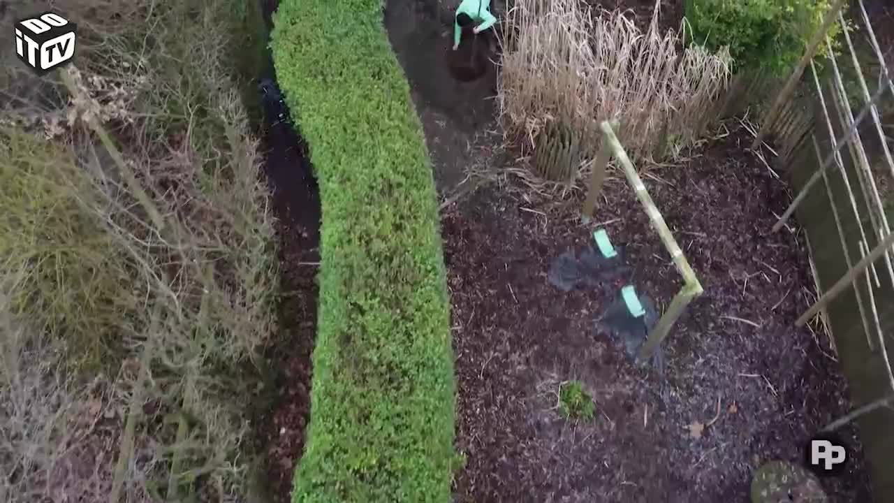 Comment planter un arbre?