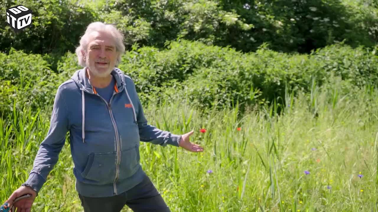 Gérer la nature dans son jardin: comment le faire?