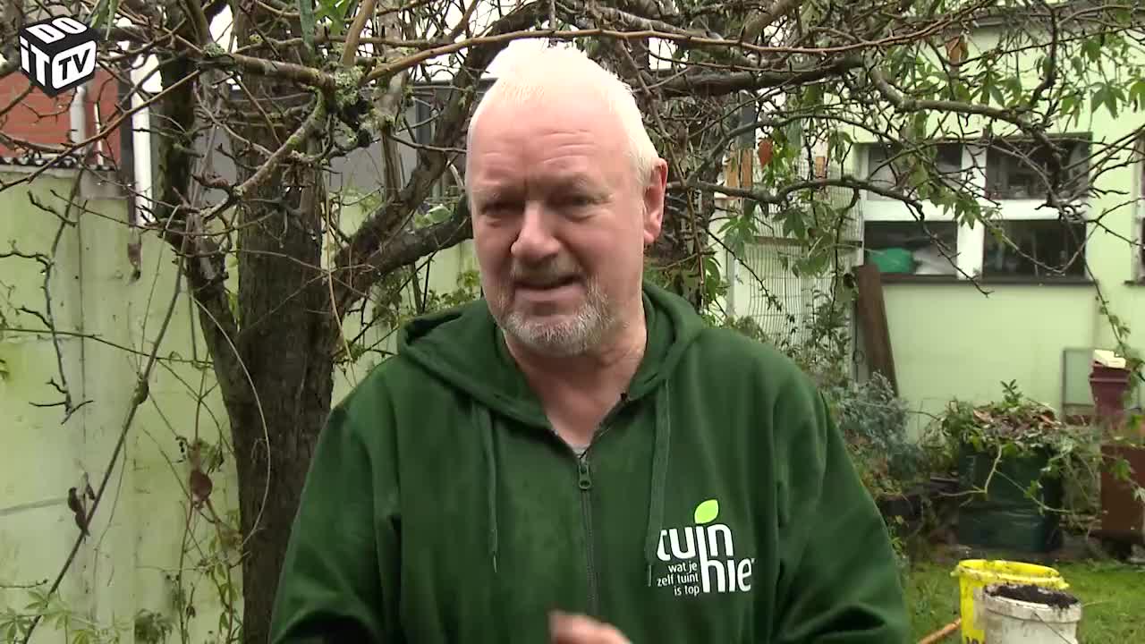 Hoe ecologisch mos verwijderen