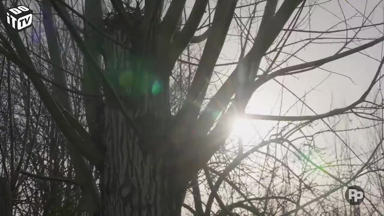 Zo maak je je tuin vogelvriendelijk